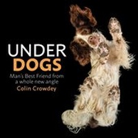 Abbildung von: Underdogs - TRAPEZE
