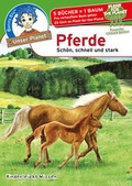 Cover: Benny Blu - Pferde - LAMA