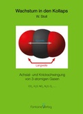 Cover: Wachstum in den Kollaps - Fontaine Verlag