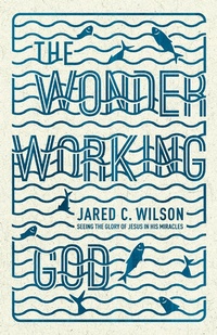 Enlarge image Cover: The Wonder-Working God - Crossway