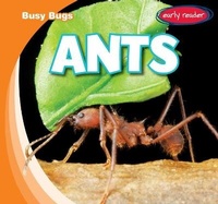 Enlarge image Cover: Ants - Gareth Stevens Publishing