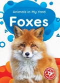 Cover: Foxes - Blastoff! Beginners