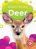 Cover: Deer - Blastoff! Beginners