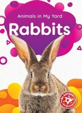 Cover: Rabbits - Blastoff! Beginners
