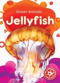 Cover: Jellyfish - Blastoff! Beginners