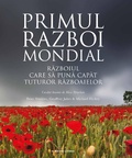 Cover: Primul Razboi Mondial - Litera Media Group