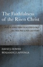 Cover: The Faithfulness of the Risen Christ - Baylor University Press
