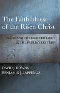Cover: The Faithfulness of the Risen Christ - Baylor University Press