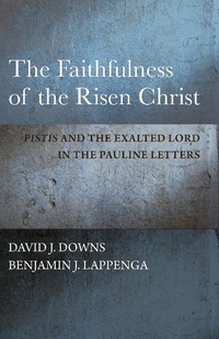 Abbildung von: The Faithfulness of the Risen Christ - Baylor University Press