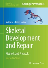 Abbildung von: Skeletal Development and Repair - Humana