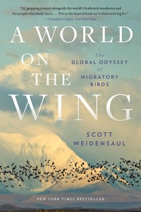 Bild: A World on the Wing - W. W. Norton & Company