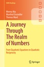 Cover: A Journey Through The Realm of Numbers - Springer