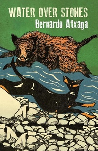 Abbildung von: Water over Stones - MacLehose Press