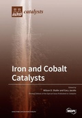 Cover: Iron and Cobalt Catalysts - MDPI AG
