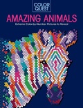 Cover: Color Quest: Amazing Animals - Sourcebooks