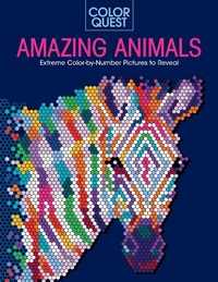 Enlarge image Cover: Color Quest: Amazing Animals - Sourcebooks