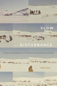 Enlarge image Cover: Slow Disturbance - Duke University Press
