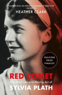 Enlarge image Cover: Red Comet - Vintage
