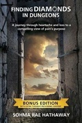Cover: Finding Diamonds in Dungeons - Author Academy Elite