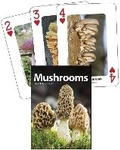 Cover: Mushrooms Playing Cards - Adventure Publications, Incorporated