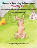 Cover: The Big Fire - FreeBird Foundation of Evergreen, CO
