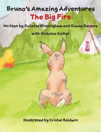 Enlarge image Cover: The Big Fire - FreeBird Foundation of Evergreen, CO