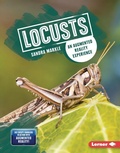 Cover: Locusts - Lerner Publishing Group