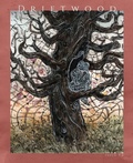 Cover: Driftwood Press 7.2 - Driftwood Press