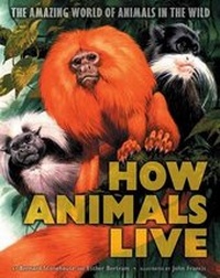Enlarge image Cover: How Animals Live - Scholastic Reference