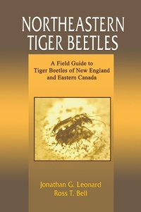Abbildung von: Northeastern Tiger Beetles - CRC Press