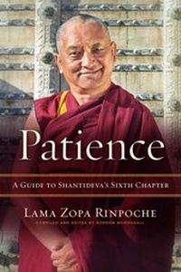 Enlarge image Cover: Patience - Wisdom Publications