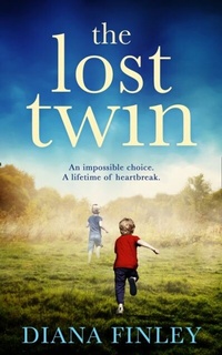 Abbildung von: The Lost Twin - HQ Digital
