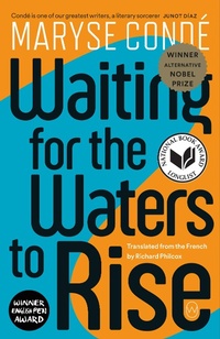 Enlarge image Cover: Waiting for the Waters to Rise - World Editions