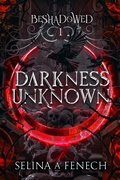 Cover: Darkness Unknown (Beshadowed, #1) - Fairies and Fantasy Pty Ltd