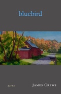 Cover: Bluebird - Green Writers Press