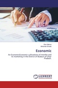 Cover: Economic - LAP Lambert Academic Publishing