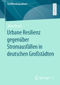 Abbildung von: Urbane Resilienz gegenüber Stromausfällen in deutschen Großstädten - Springer VS