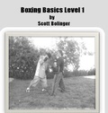 Cover: Boxing Basics Level 1 (1 of 3) - Scott Bolinger