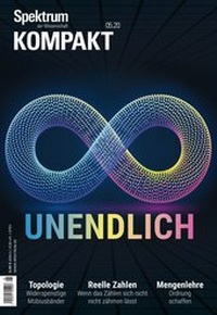 Abbildung von: Spektrum Kompakt - Unendlich - Spektrum der Wissenschaft