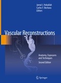 Cover: Vascular Reconstructions - Springer