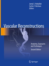 Enlarge image Cover: Vascular Reconstructions - Springer