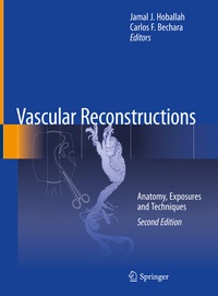 Enlarge image Cover: Vascular Reconstructions - Springer