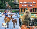 Cover: Animals in the City - Raintree