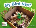 Cover: My Bird Nest - Raintree