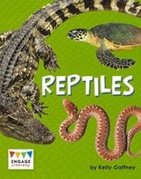 Enlarge image Cover: Reptiles - Raintree