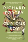 Cover: A Curious Boy - William Collins