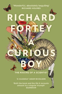 Enlarge image Cover: A Curious Boy - William Collins