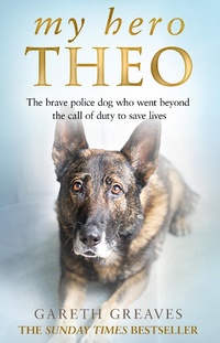 Abbildung von: My Hero Theo - HarperCollins