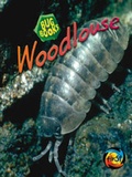 Cover: Bug Books Pack C of 6 - Raintree Publishers