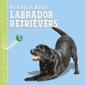 Cover: Fast Facts About Labradors - Raintree